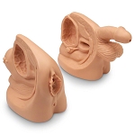 FEMALE CATHETER MODEL